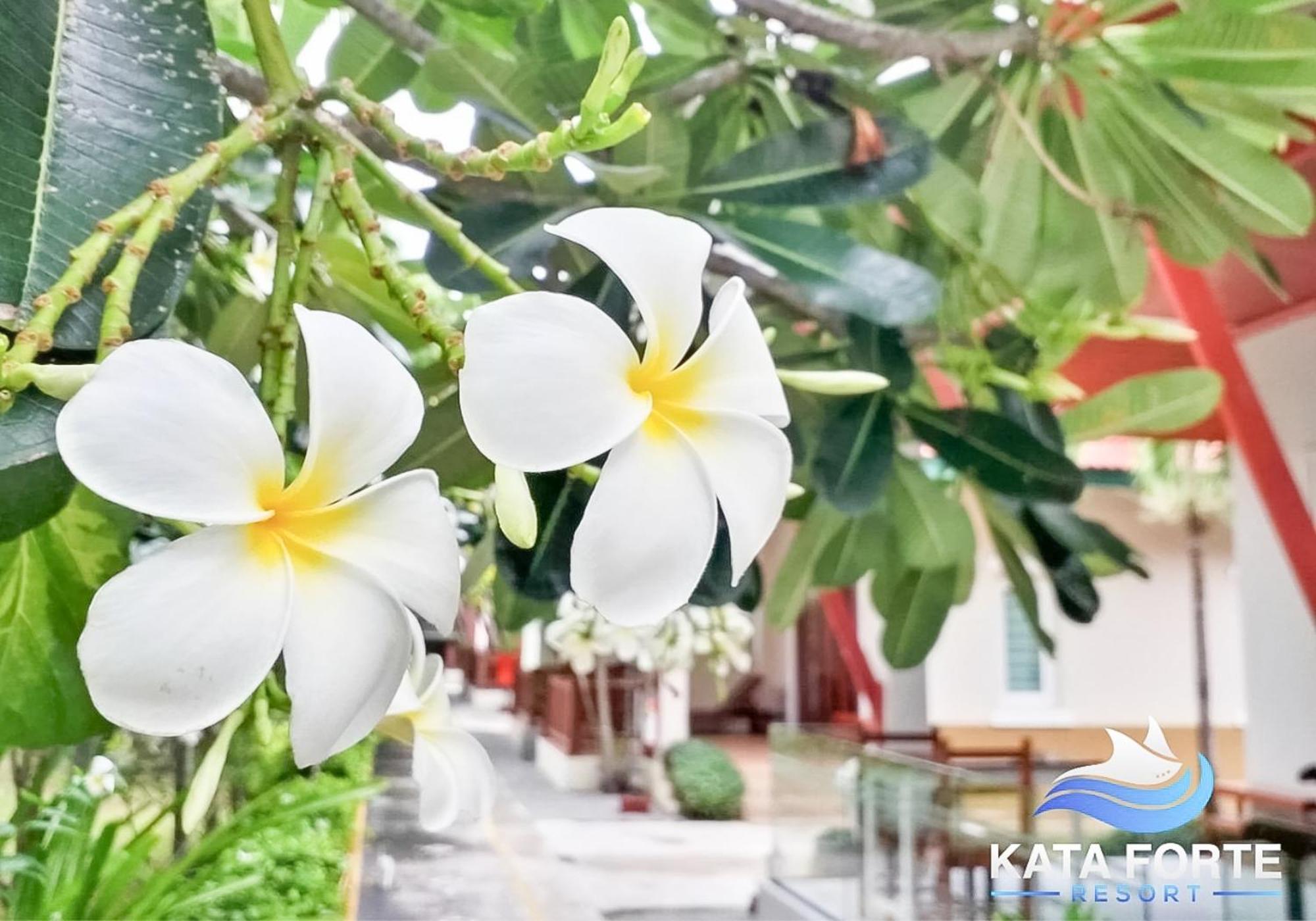 Kata Forte Resort 외부 사진